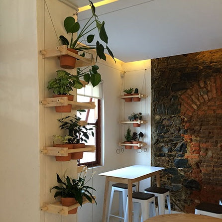 Plant Hanging Shelves